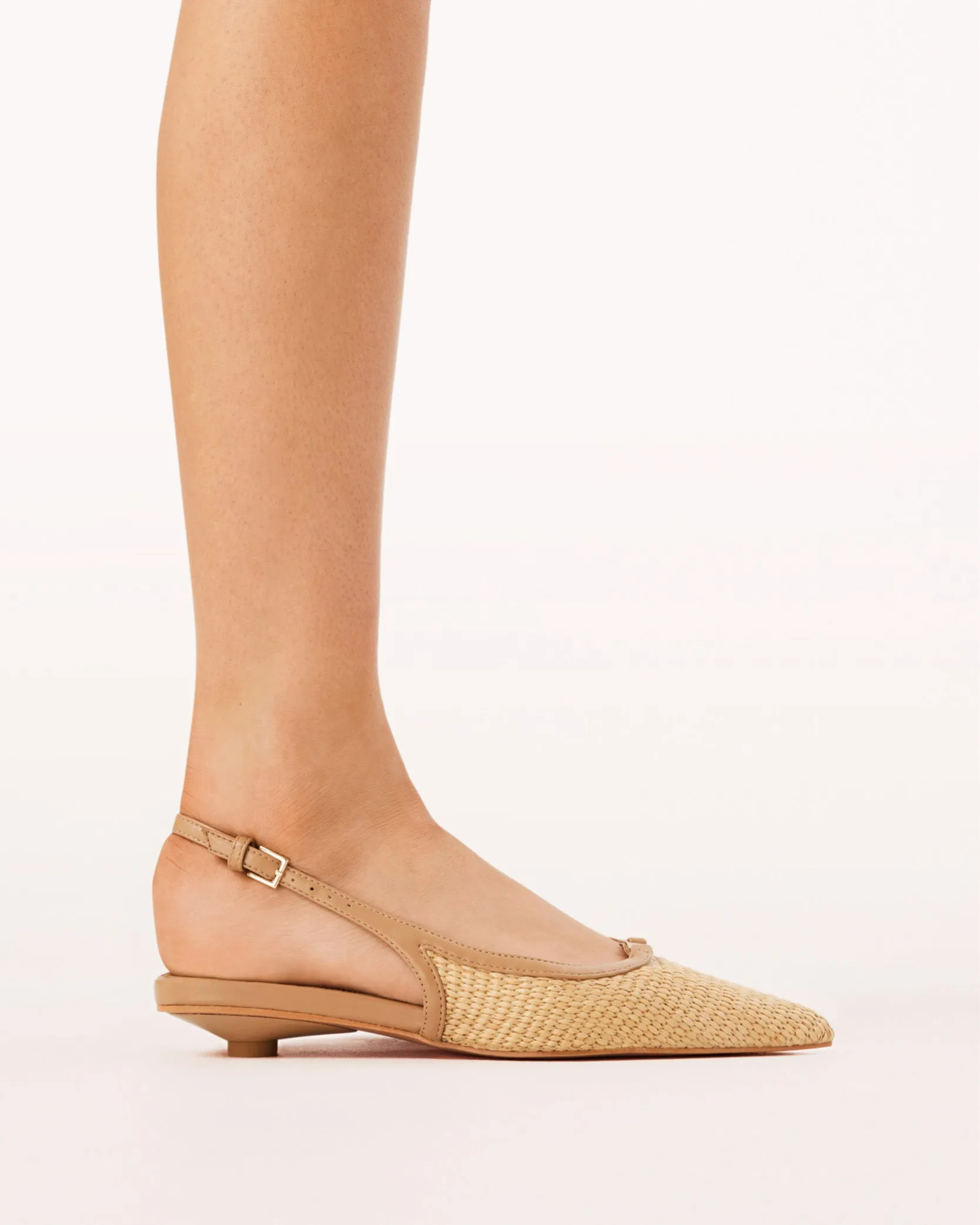 FLAVIA - NATURRAFFIA