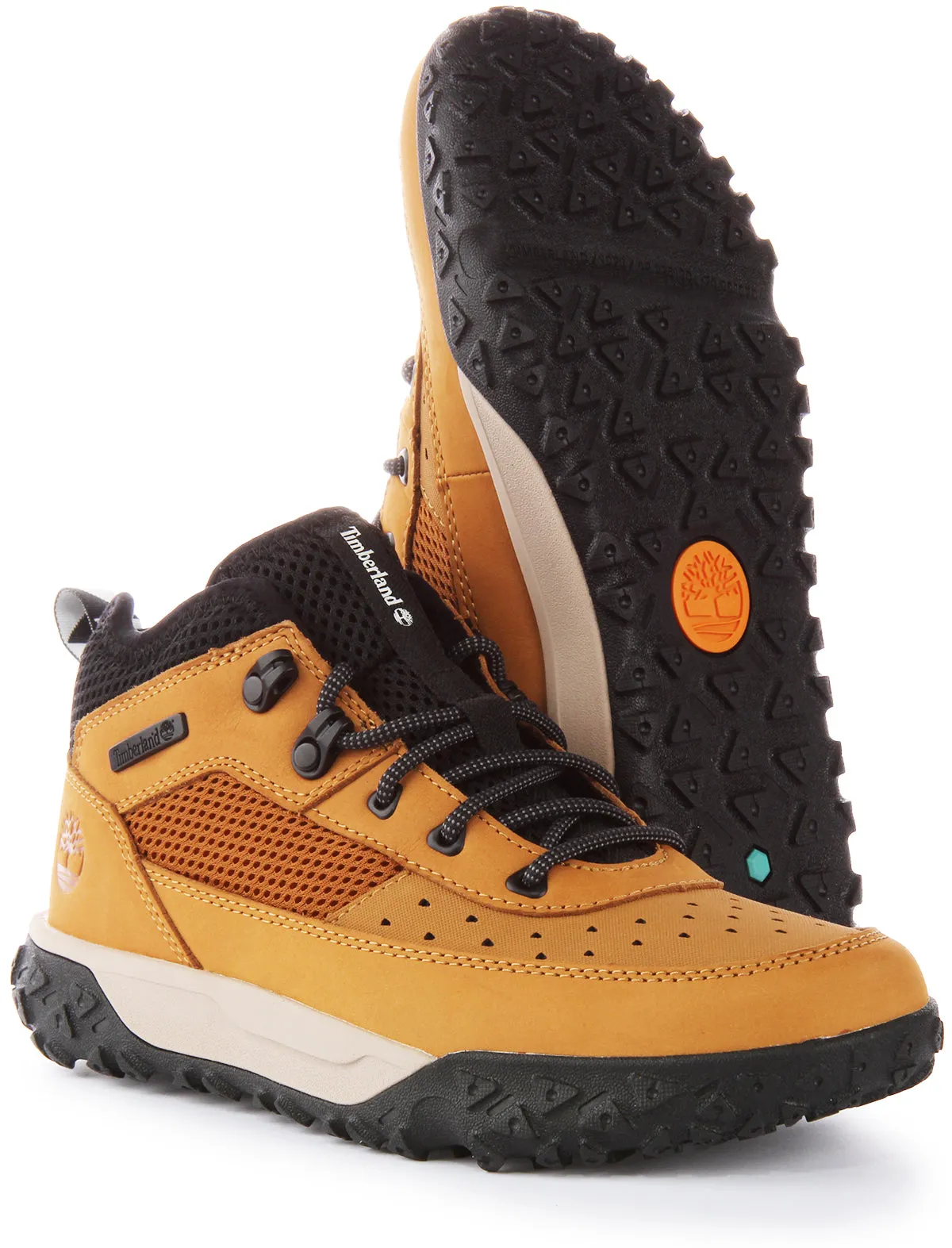 Timberland A66MZ Greenstride Motion 6 Super Ox In Weizen Für Junior Schuhe Timberland
